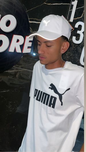 Camiseta Puma Essentials
